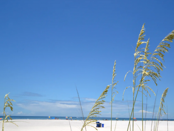 Short walk to St Pete's Beach